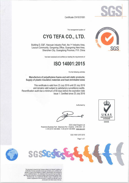 Çin Cyg Tefa Co., Ltd. Sertifikalar